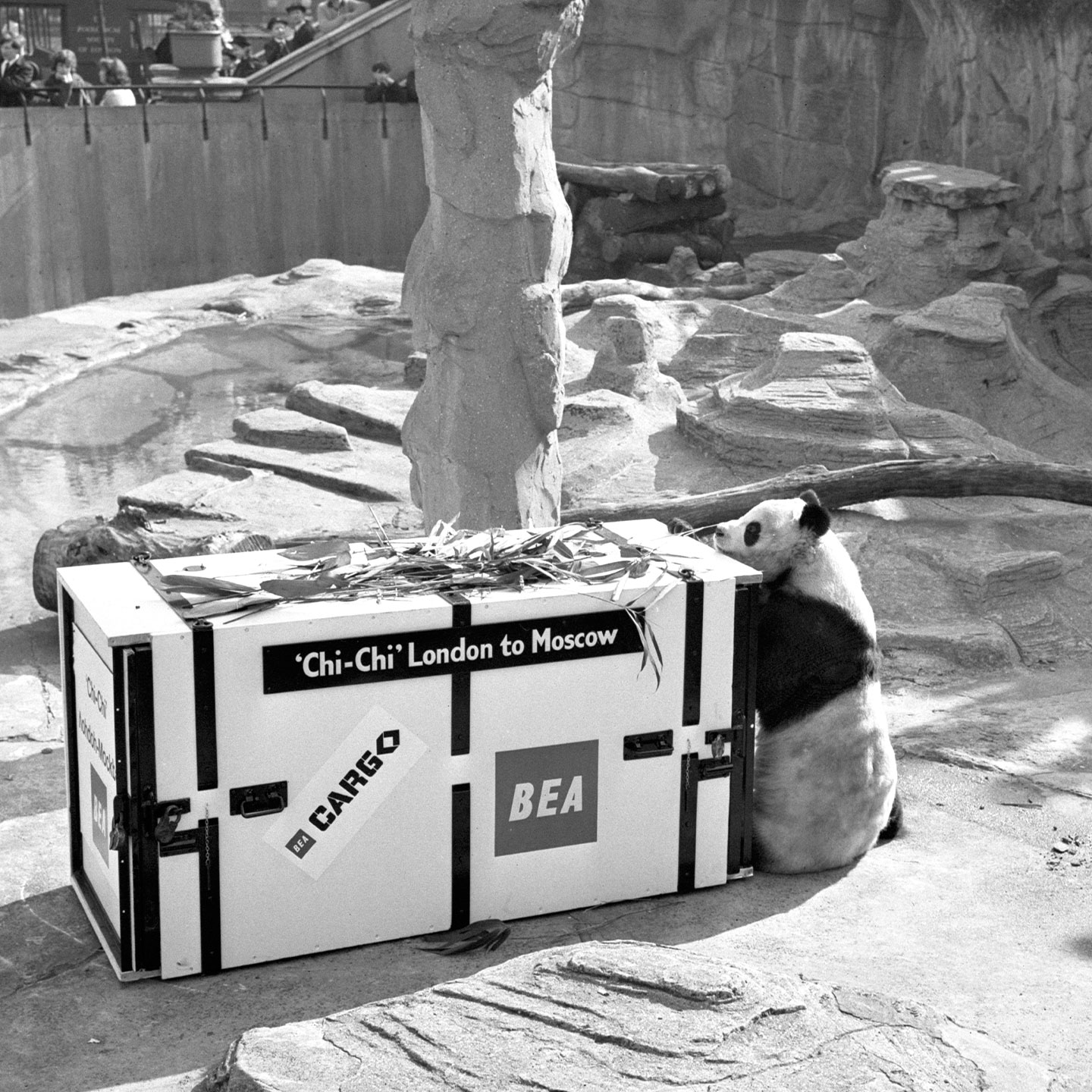 The China Current with James Chau